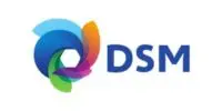 dsm 200x100 1
